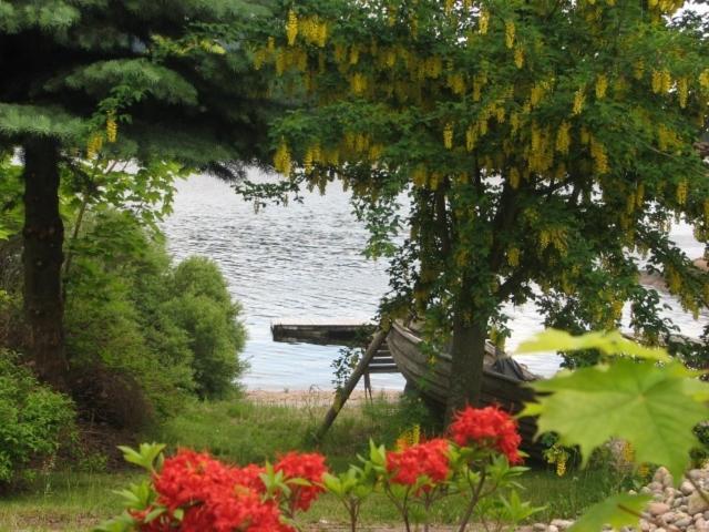 Villa Rorvik Svelvik Exteriör bild